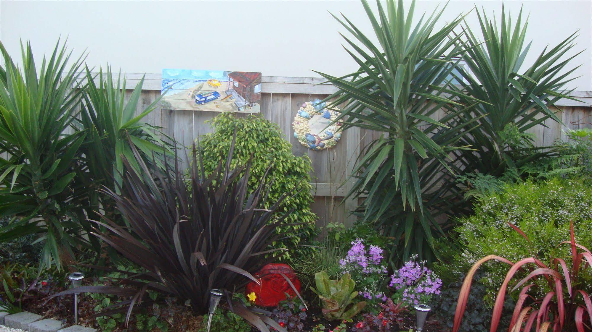 Stunning Views Bed, Breakfast & Health Retreat Bed & Breakfast Whangamata Eksteriør bilde